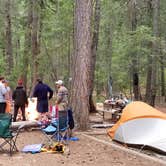 Review photo of Ponderosa Campground by Megan D., August 3, 2018