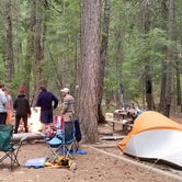 Review photo of Ponderosa Campground — Ross Lake National Recreation Area by Megan D., August 3, 2018
