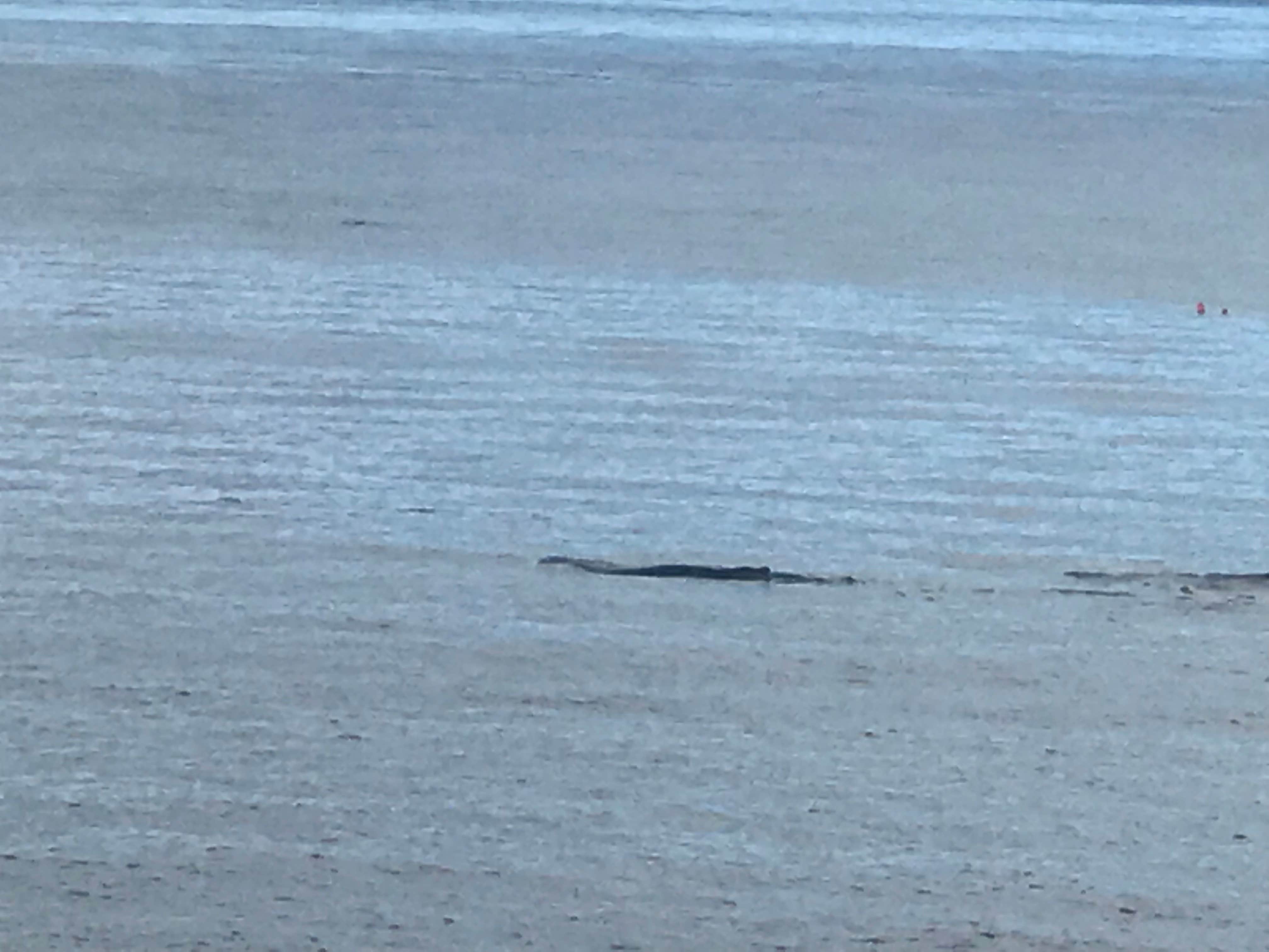 Camper-submitted photo at Settler's Cove State Rec Area Campground near Ketchikan, AK