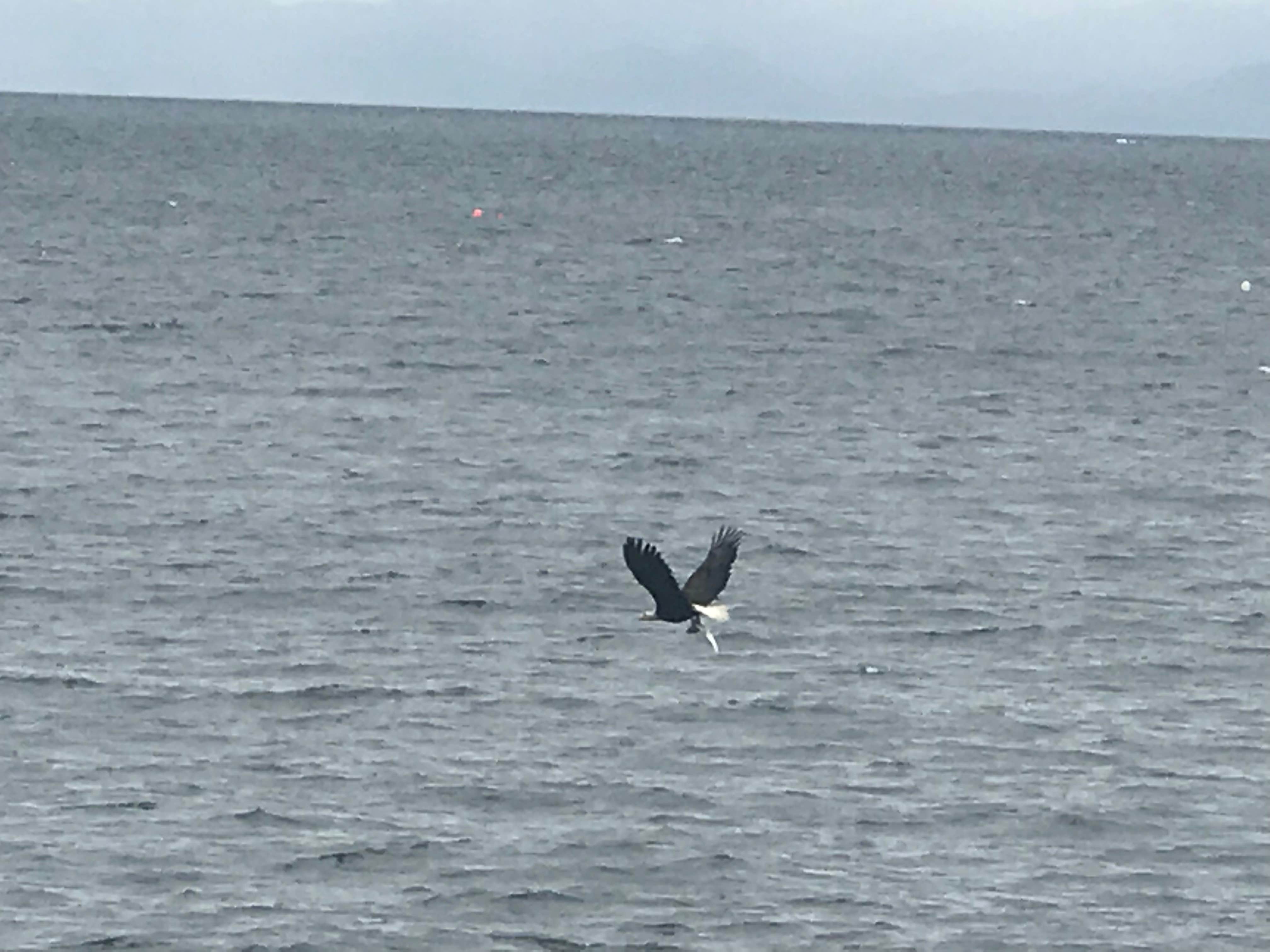 Camper-submitted photo at Settler's Cove State Rec Area Campground near Ketchikan, AK
