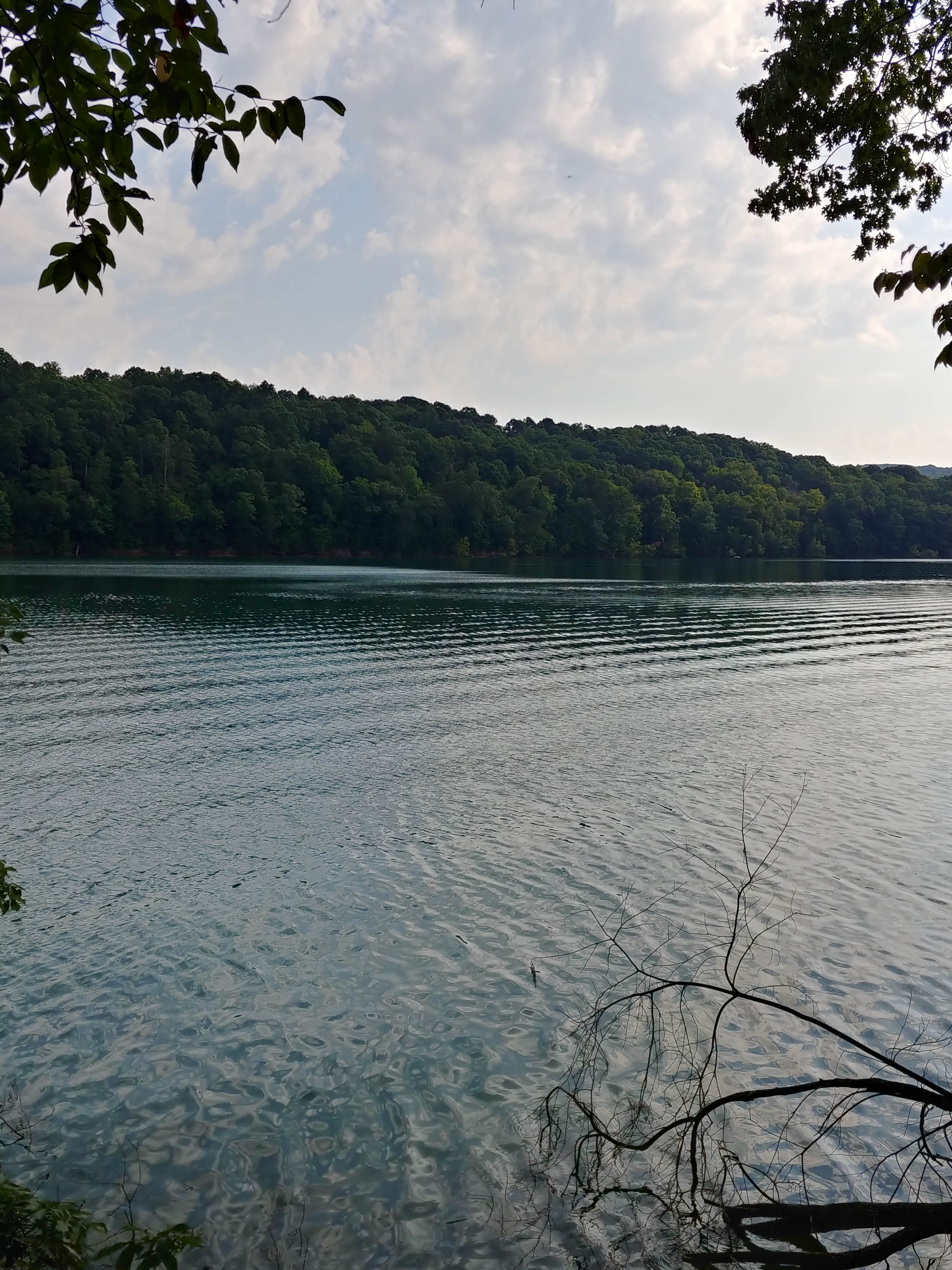 Camper-submitted photo at West Campground — Norris Dam State Park near Knoxville, TN