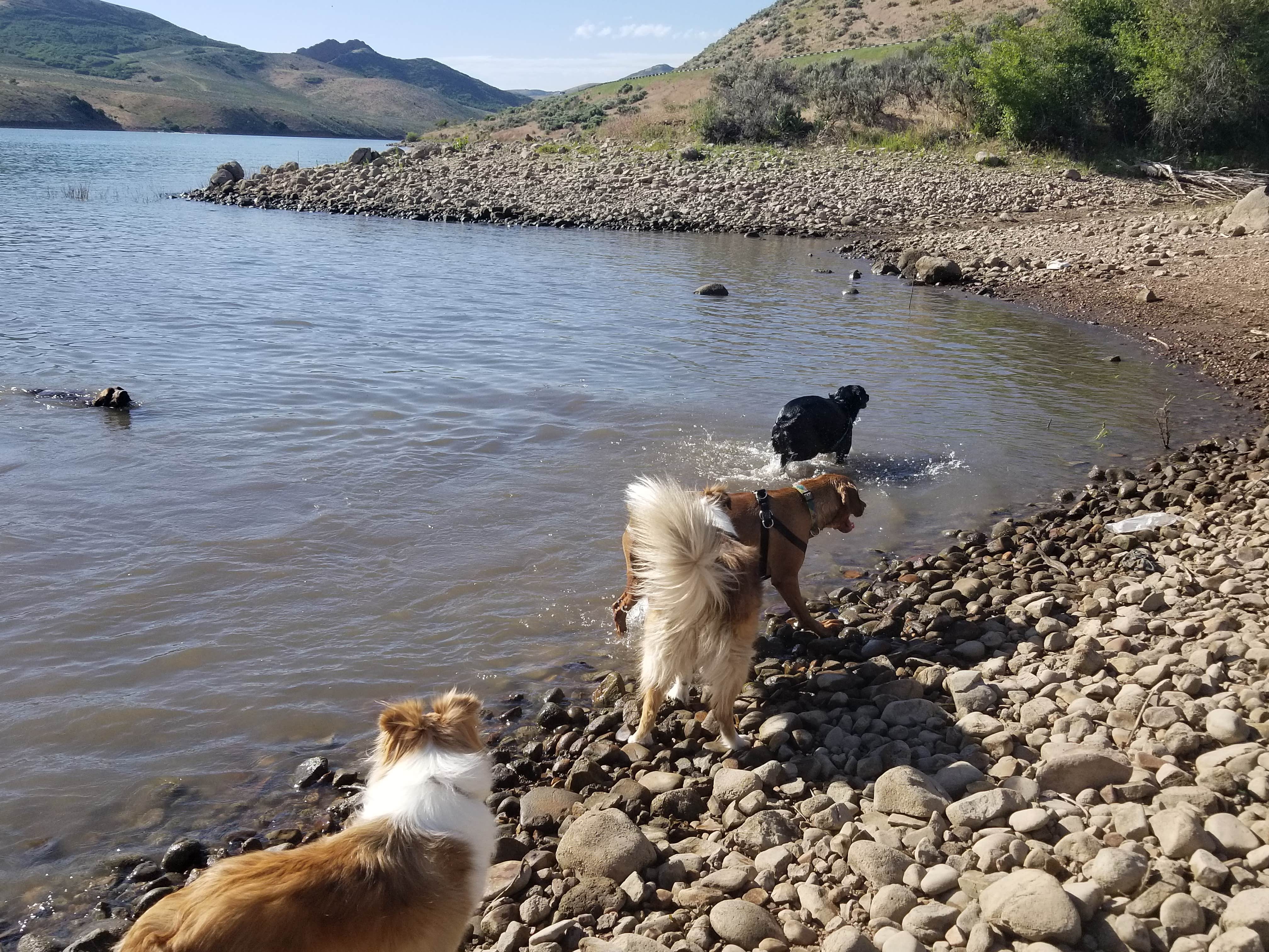 Dixie Creek Campground — East Canyon State Park | Echo, UT