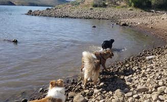 Doobie T.'s photo of camping with pets at Dixie Creek Campground — East Canyon State Park near Magna, UT