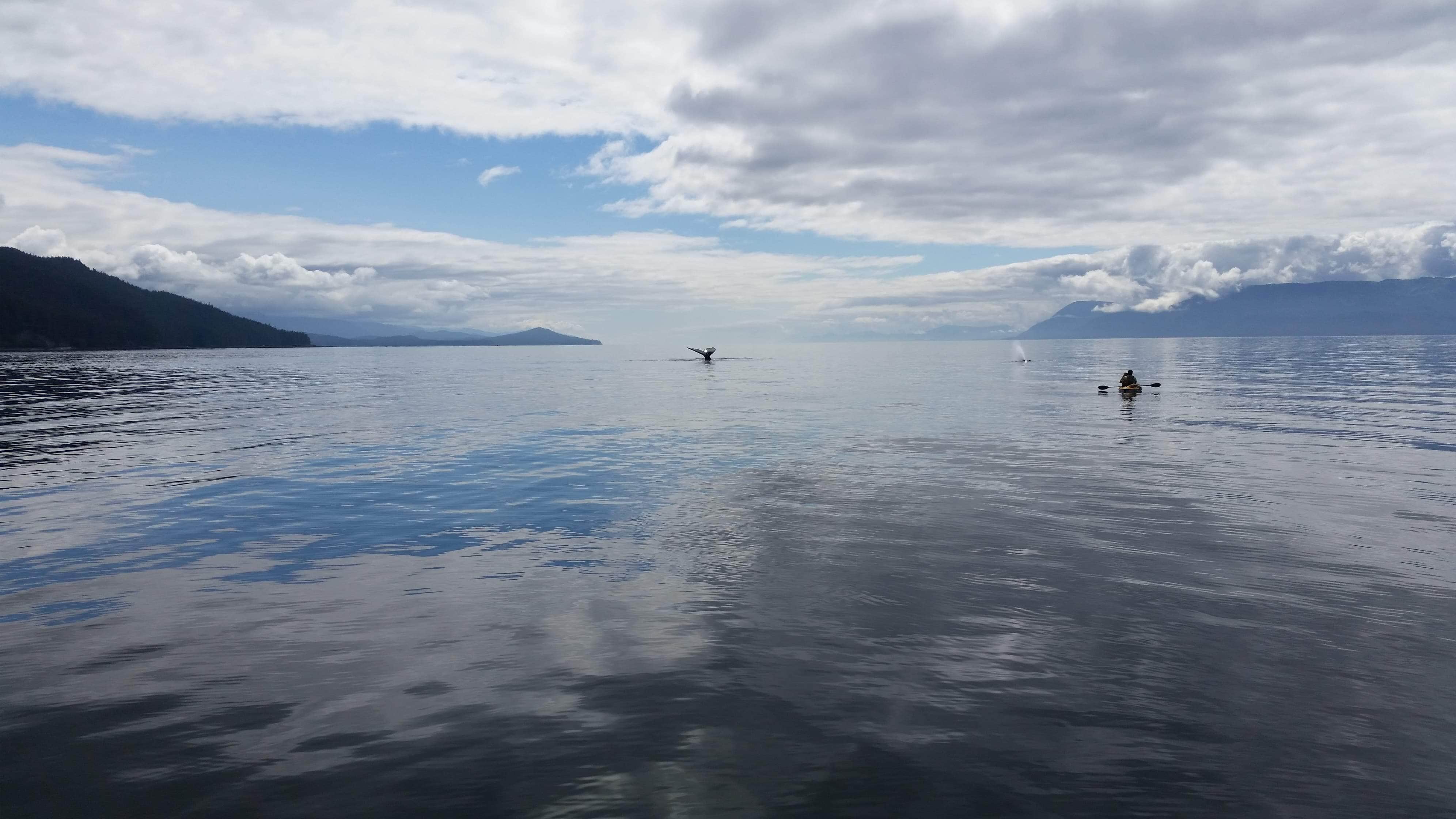 Camper-submitted photo at Admiralty National Monument near Hoonah, AK