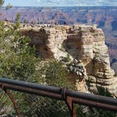Review photo of Mather Campground — Grand Canyon National Park by phillip L., July 29, 2016