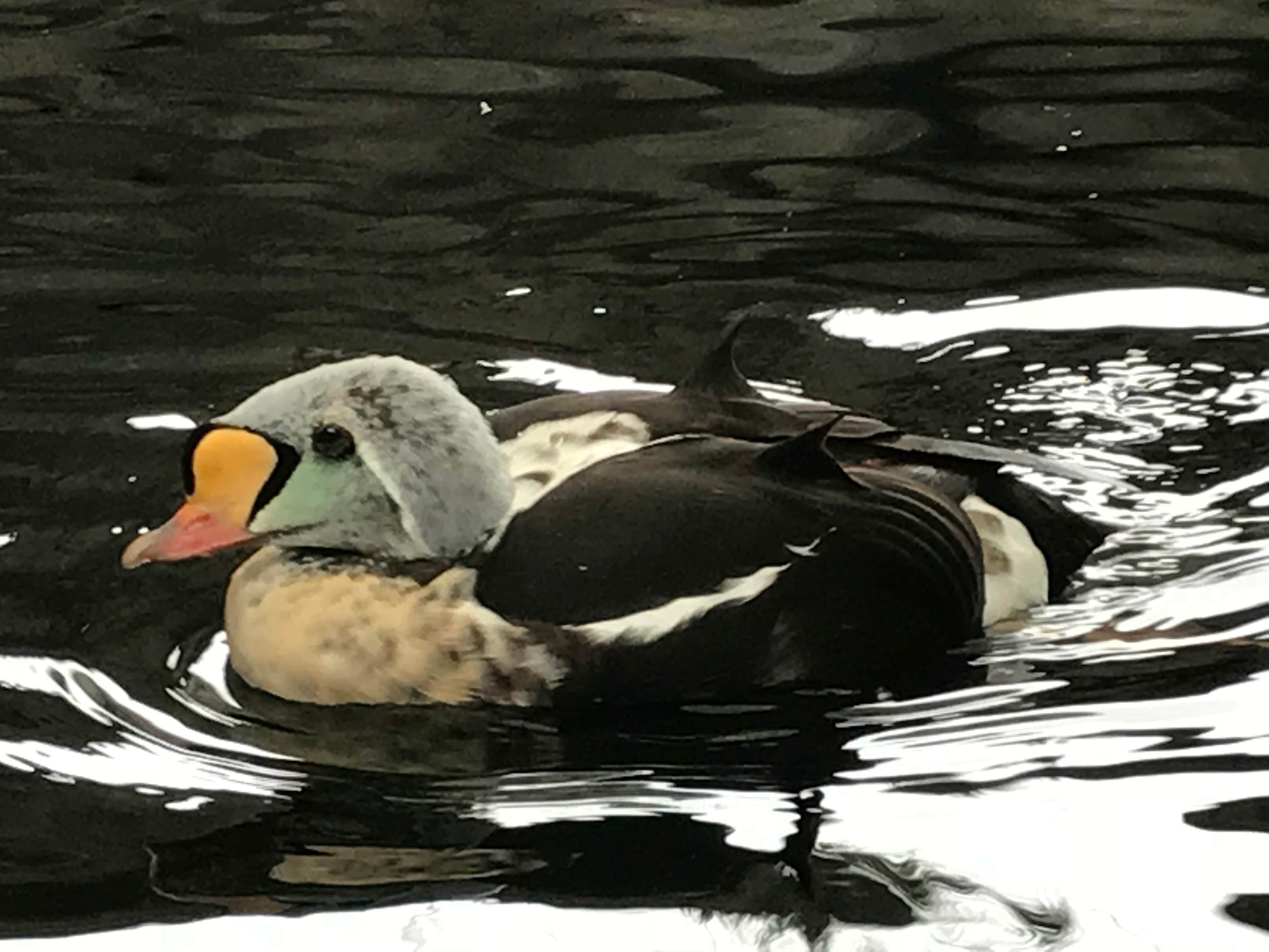 Camper-submitted photo at Stoney Creek RV Park near Seward, AK