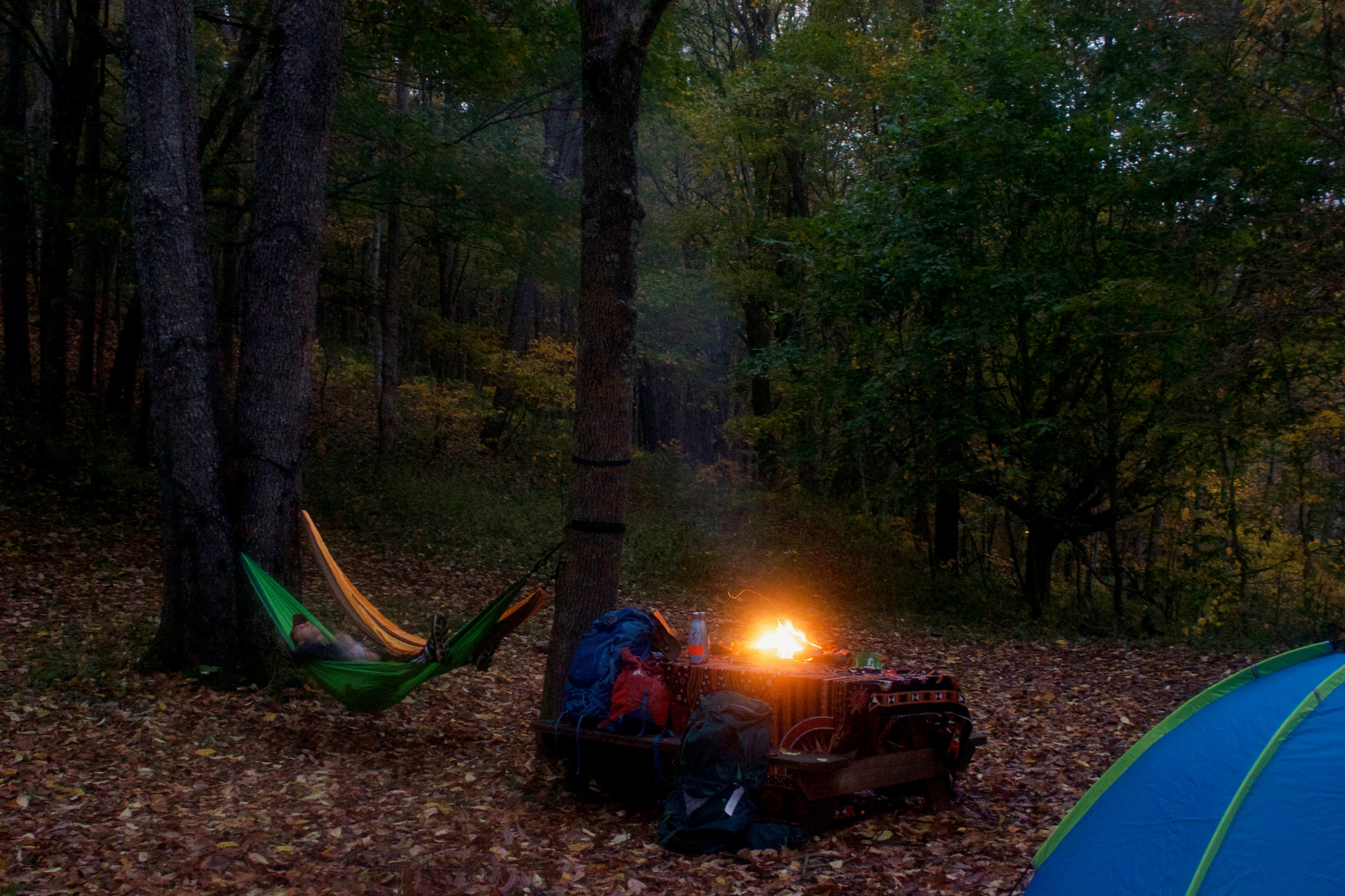 Sydney  S.'s photo of tent camping at Blue Bear Mountain Camp near Traphill, NC