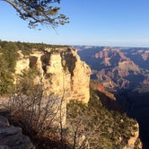 Review photo of Mather Campground — Grand Canyon National Park by phillip L., July 29, 2016