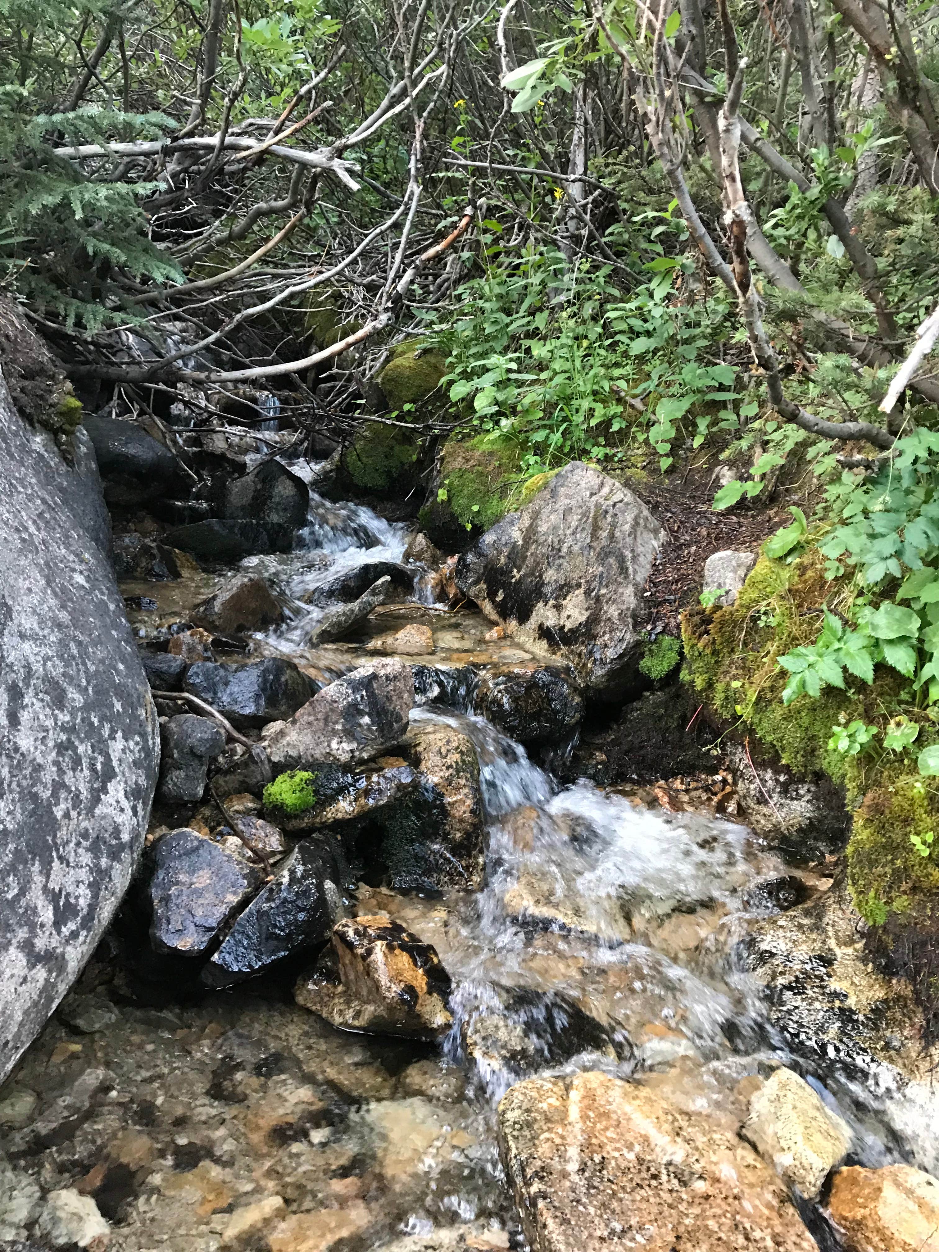 Camper-submitted photo at Winfield Camping Area near Granite, CO