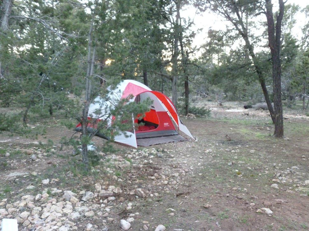 phillip L.'s photo at Mather Campground — Grand Canyon National Park near Supai, AZ