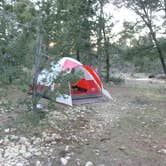 Review photo of Mather Campground — Grand Canyon National Park by phillip L., July 29, 2016