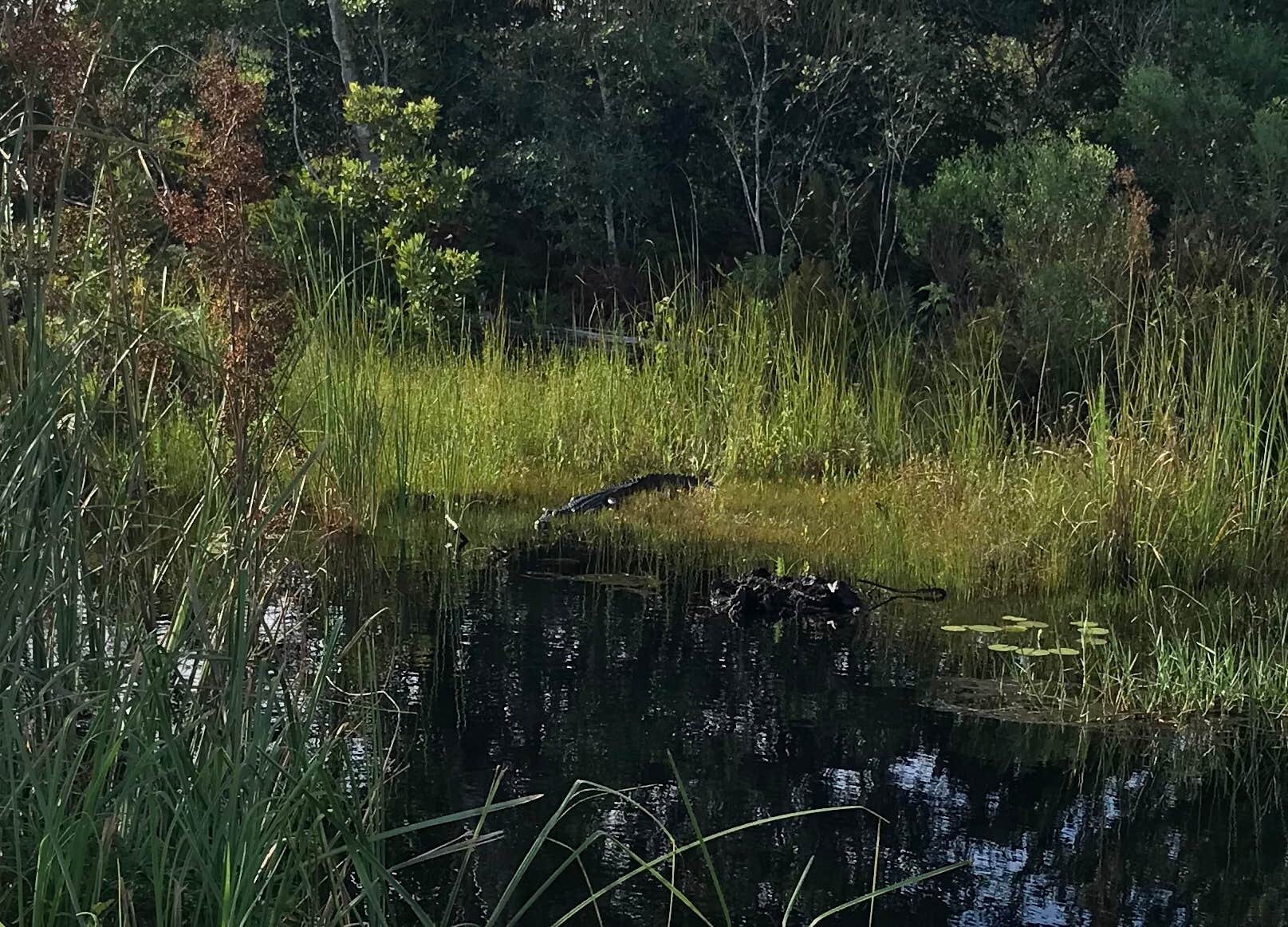 Camper-submitted photo at Gulf State Park Campground in Alabama
