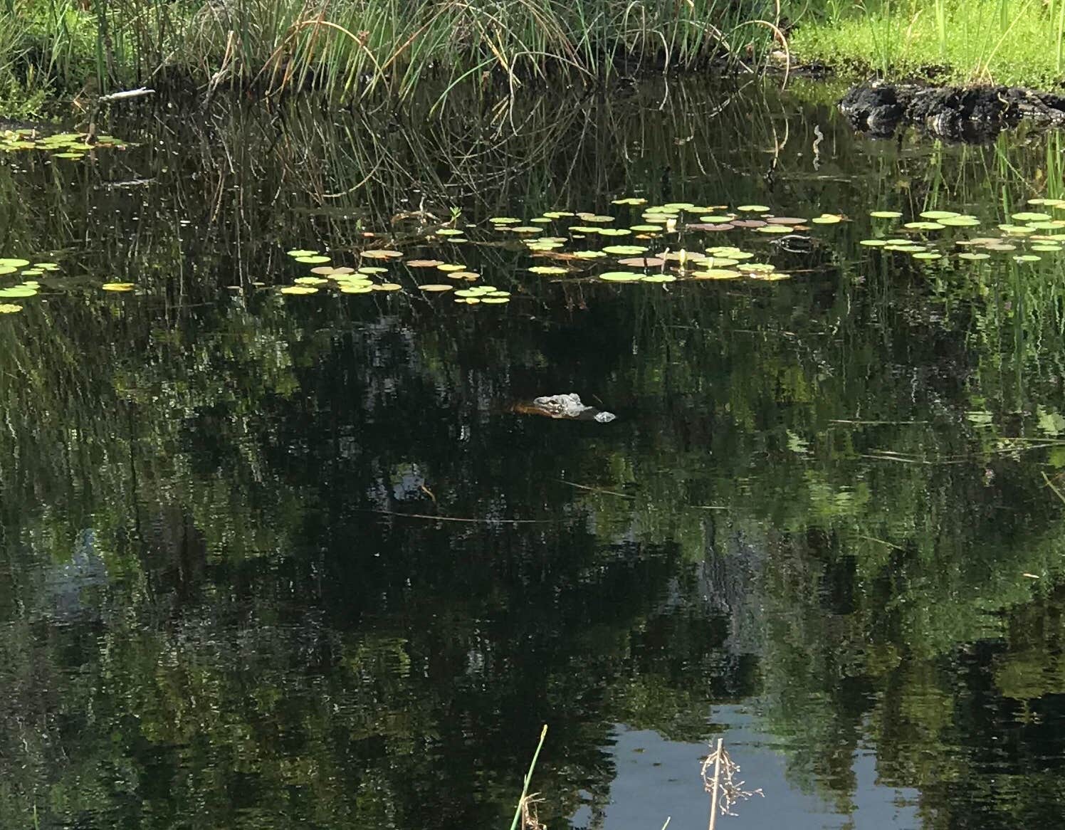 Gulf State Park Campground