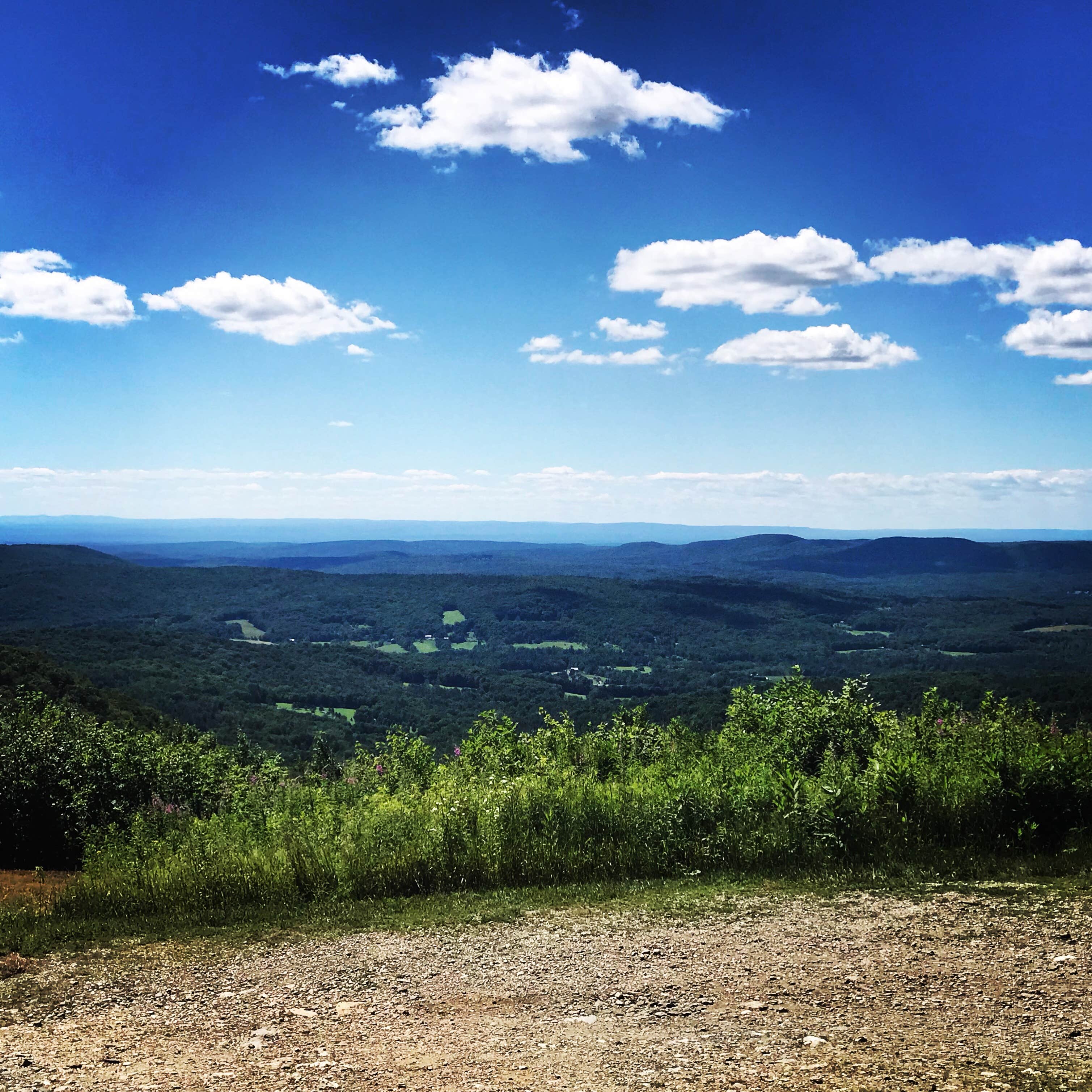 Pittsfield State Forest