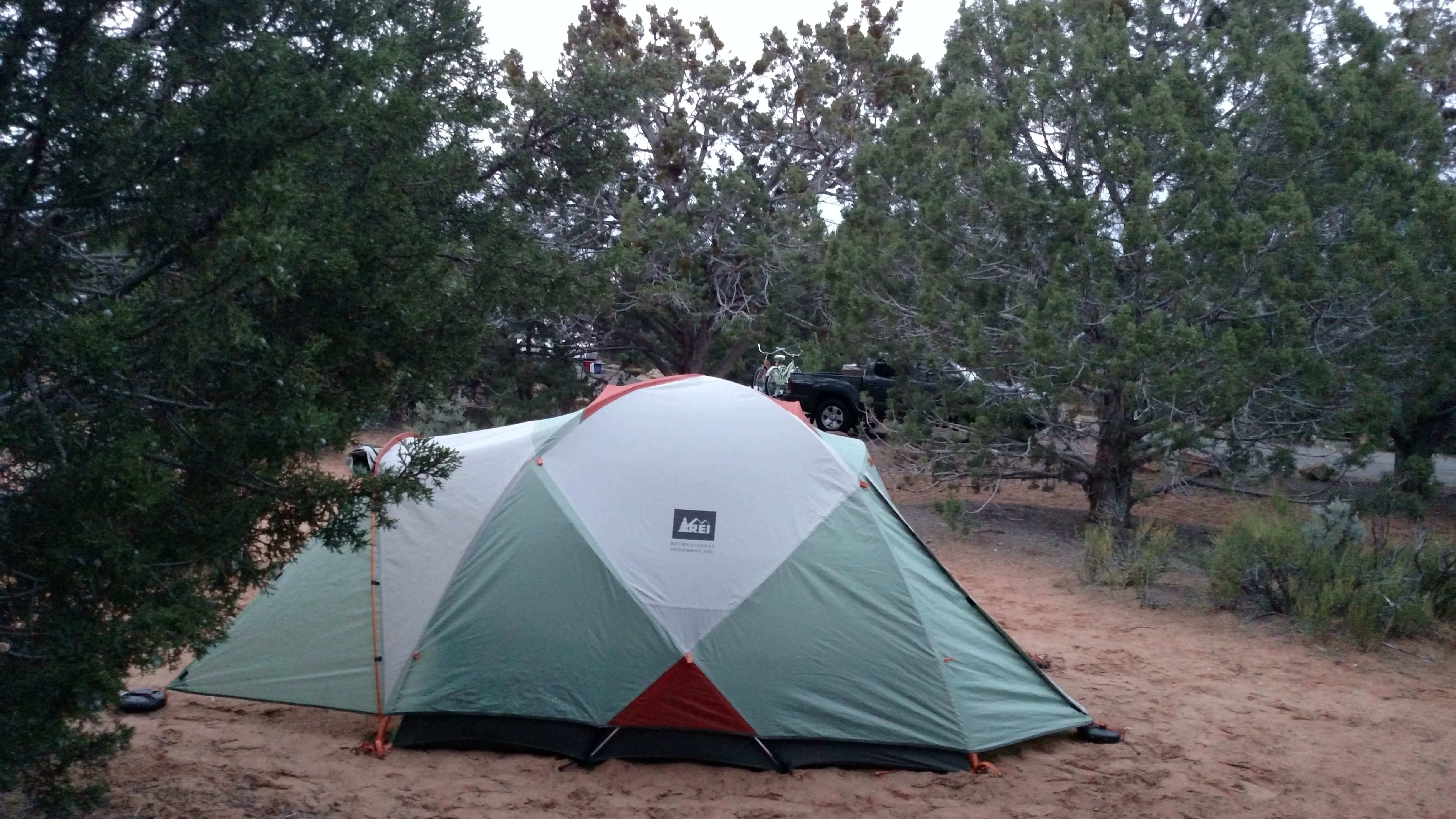 Camper submitted image from Coral Pink Sand Dunes State Park Campground - 3