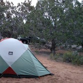 Review photo of Coral Pink Sand Dunes State Park Campground by Kristen L., July 6, 2015