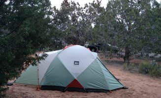 Kristen L.'s photo at Coral Pink Sand Dunes State Park Campground near Colorado City, AZ