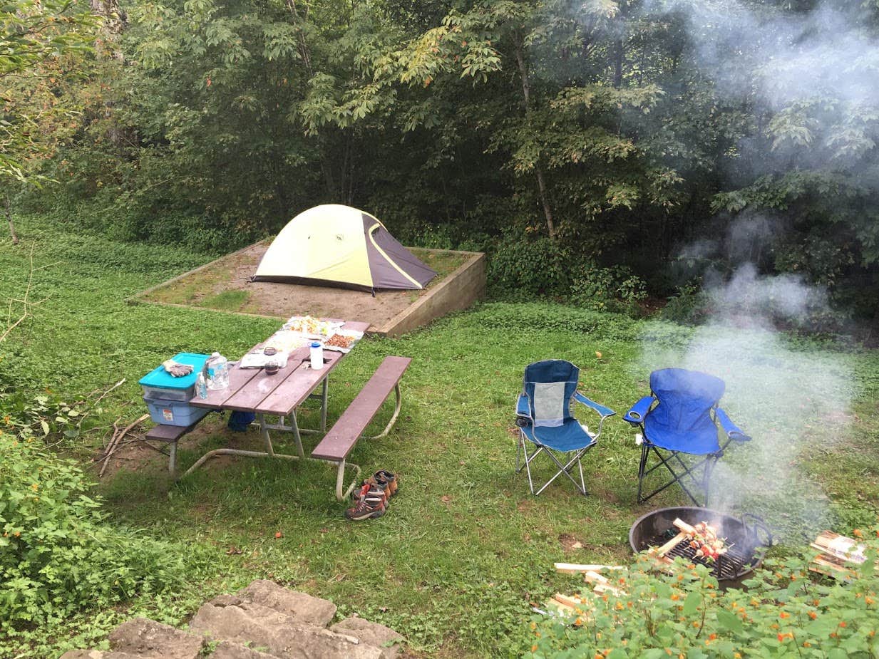 Camper submitted image from Balsam Mountain Campground — Great Smoky Mountains National Park - 2