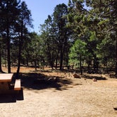 Review photo of Mather Campground — Grand Canyon National Park by phillip L., July 29, 2016