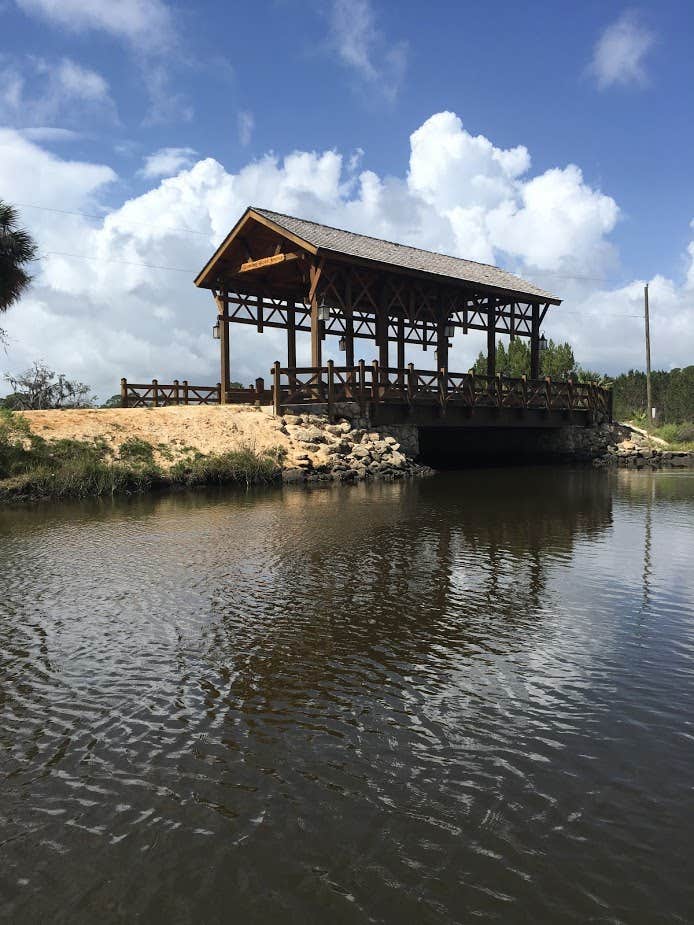 Camper submitted image from Princess Place Preserve - 3