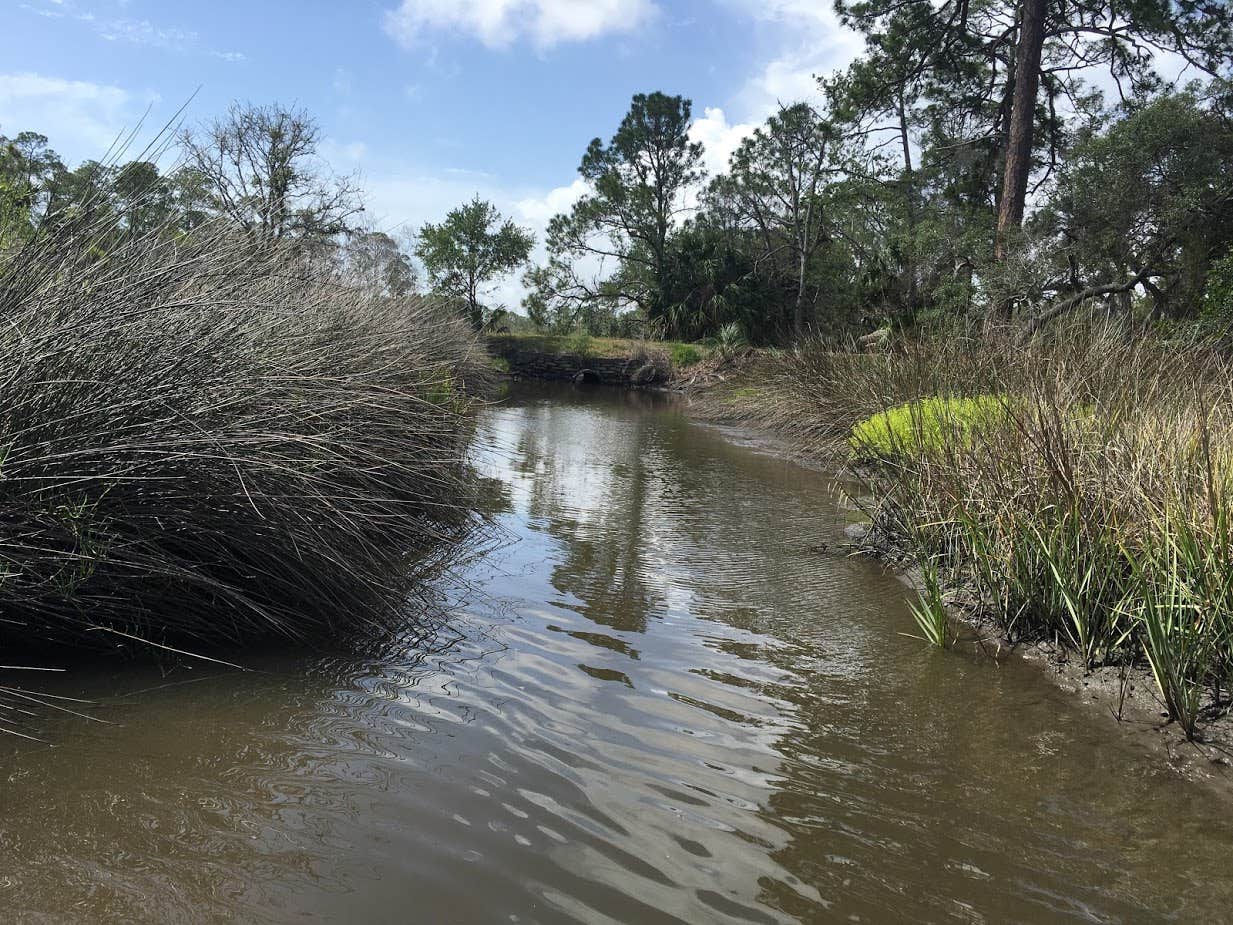 Camper-submitted photo at Princess Place Preserve near Bunnell, FL