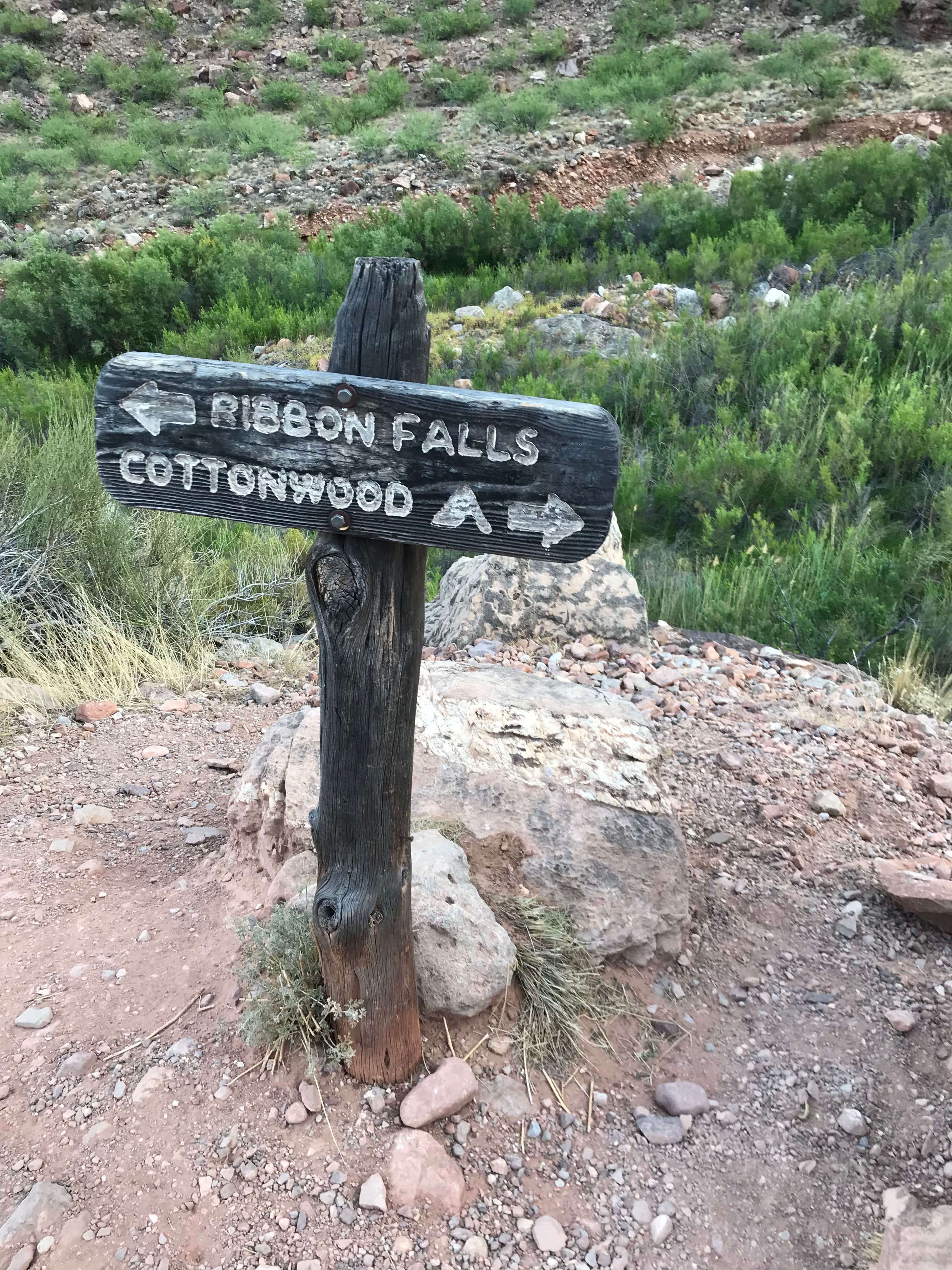 Camper-submitted photo at Cottonwood Campground — Grand Canyon National Park near Tuba City, AZ