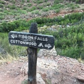 Review photo of Cottonwood Campground — Grand Canyon National Park by Elyse T., August 3, 2018