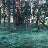 Review photo of Sylvan Lake Campground — Custer State Park by Ruth G., August 3, 2018