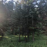 Review photo of Sylvan Lake Campground — Custer State Park by Ruth G., August 3, 2018