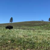 Review photo of Sylvan Lake Campground — Custer State Park by Ruth G., August 3, 2018