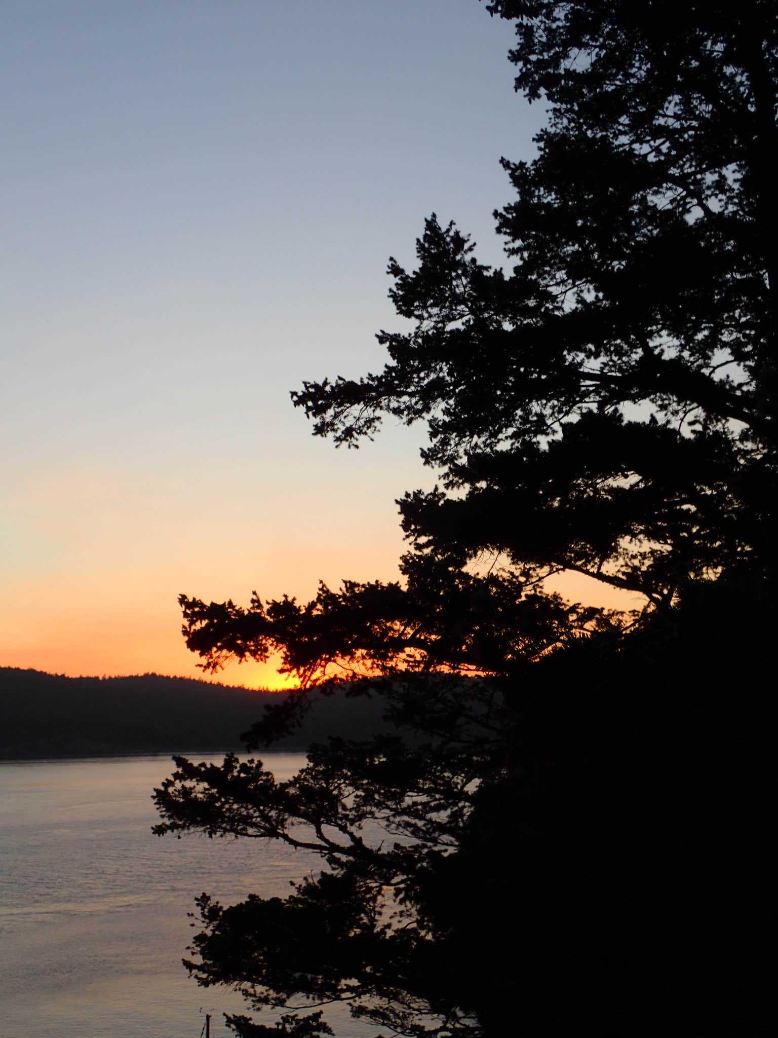 Camper-submitted photo at James Island Marine State Park Campground near Anacortes, WA