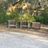 Review photo of Sea Camp Campground — Cumberland Island National Seashore by Kippy N., August 3, 2018