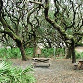 Review photo of Sea Camp Campground — Cumberland Island National Seashore by Kippy N., August 3, 2018