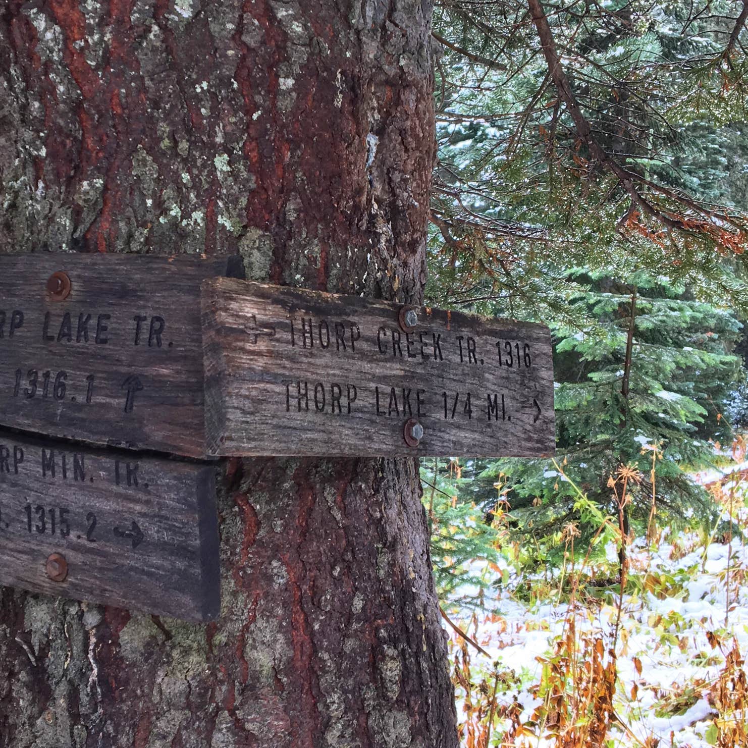 Thorp Lake Camping Easton, WA