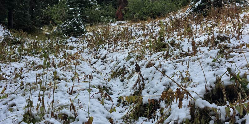 Camper submitted image from Thorp Lake