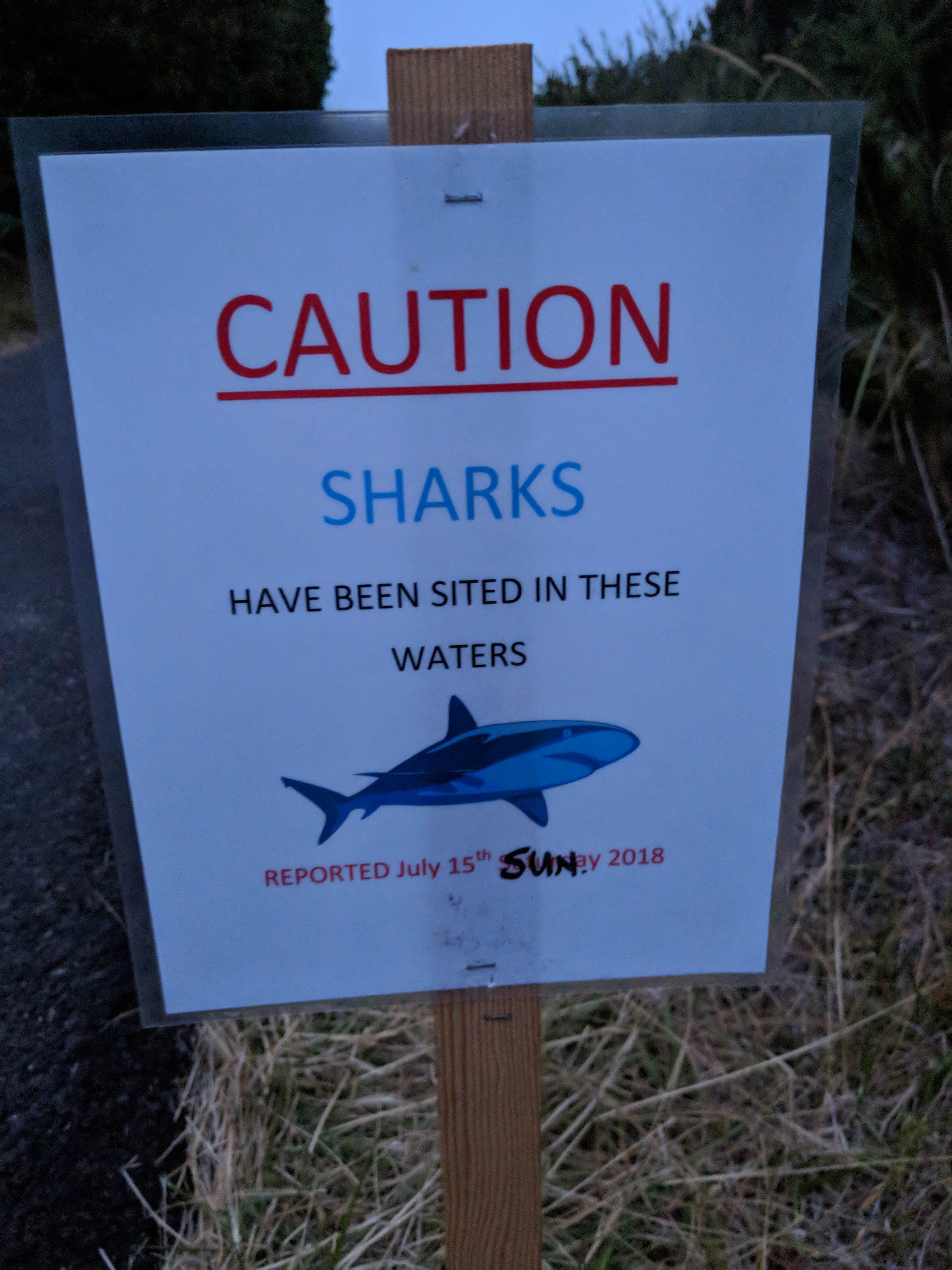 Camper submitted image from South Beach State Park Campground - 5