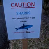 Review photo of South Beach State Park Campground by Michelle R., August 3, 2018