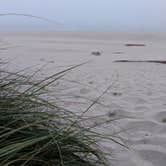 Review photo of South Beach State Park Campground by Michelle R., August 3, 2018