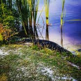 Review photo of St. Andrews State Park Campground by Ginger S., August 3, 2018