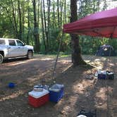 Review photo of Tillamook State Forest Nehalem Falls Campground by Randi C., August 3, 2018