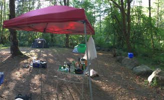 Randi C.'s photo at Tillamook State Forest Nehalem Falls Campground near Cannon Beach, OR