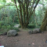 Review photo of Tillamook State Forest Nehalem Falls Campground by Randi C., August 3, 2018