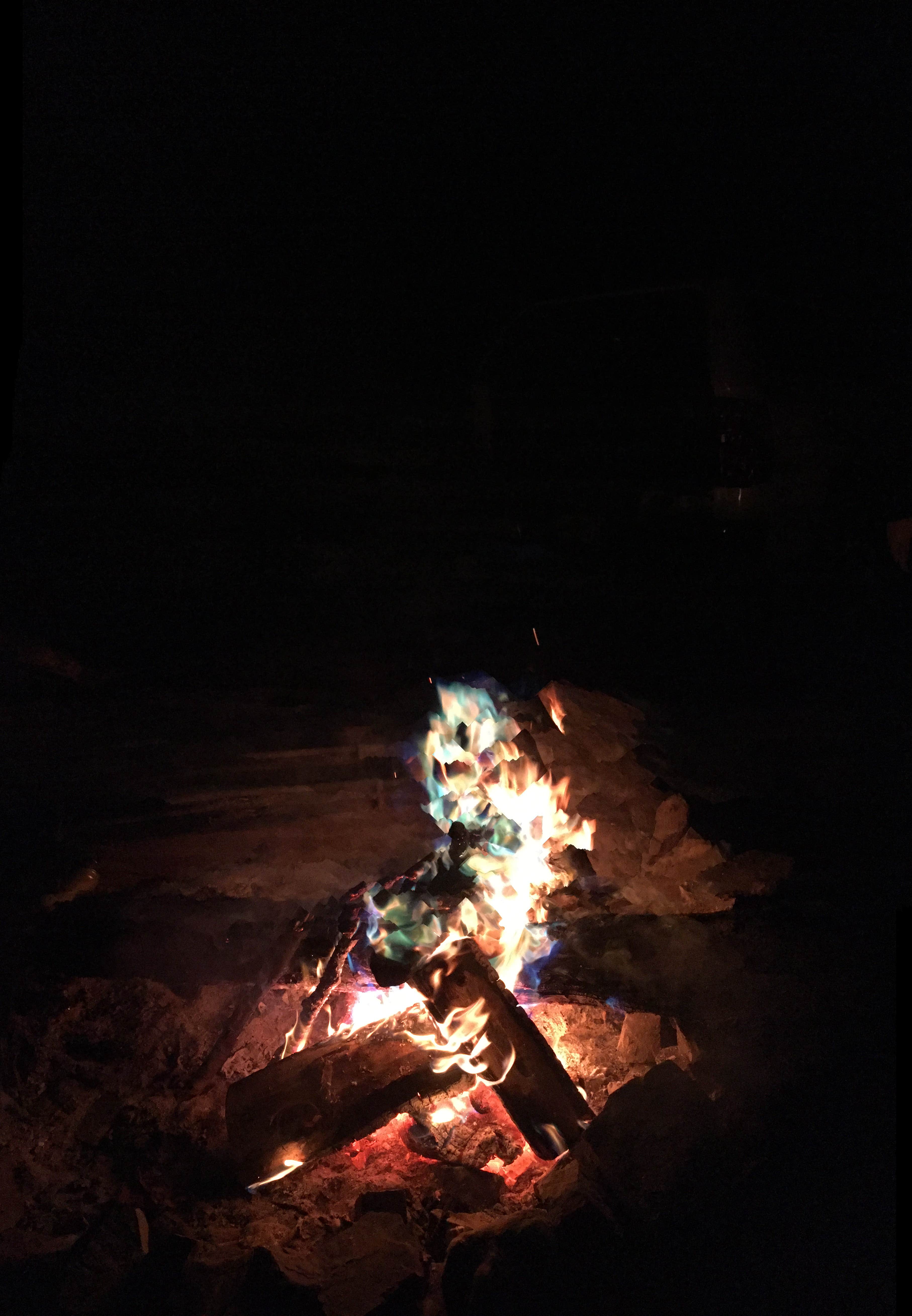 Randi C.'s photo at Tillamook State Forest Nehalem Falls Campground near Manzanita, OR