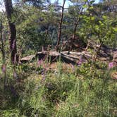 Review photo of Foster Falls Campground — South Cumberland State Park by Amber A., August 3, 2018