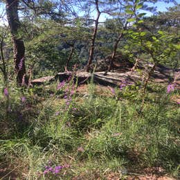 Foster Falls Campground — South Cumberland State Park