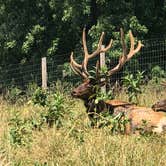 Review photo of Cherry Glen Campground by Stacy M., August 3, 2018