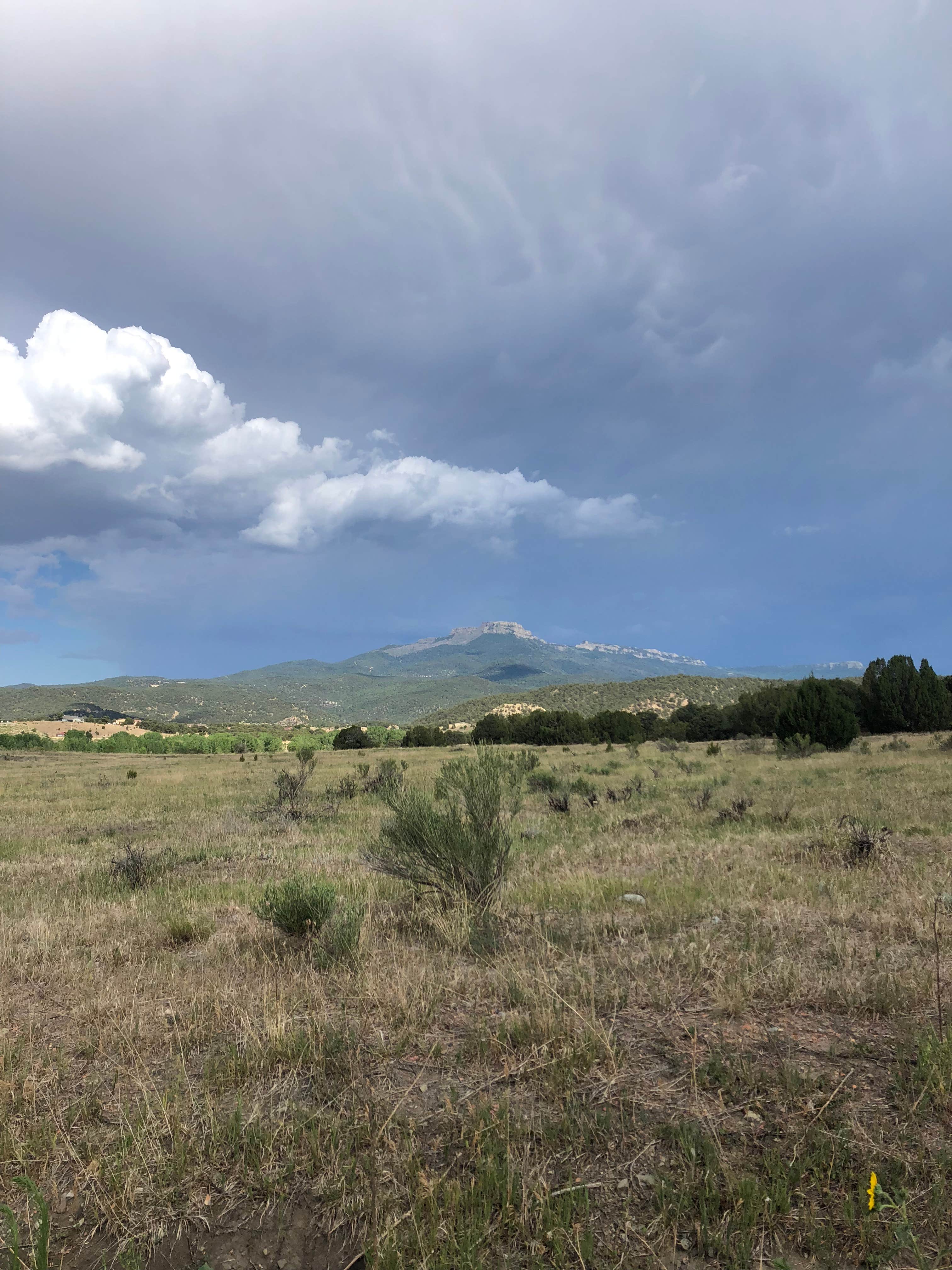 Camper-submitted photo at South Shore Campground — Trinidad Lake State Park near Raton, NM