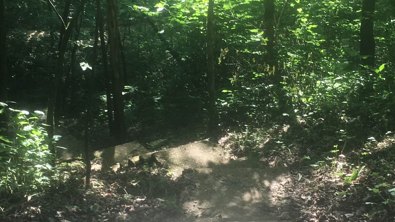 Camper-submitted photo at Round Spring Campground — Ozark National Scenic Riverway near Bunker, MO