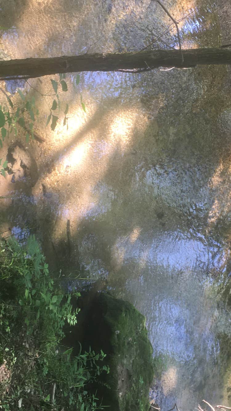 Camper-submitted photo at Round Spring Campground — Ozark National Scenic Riverway near Bunker, MO