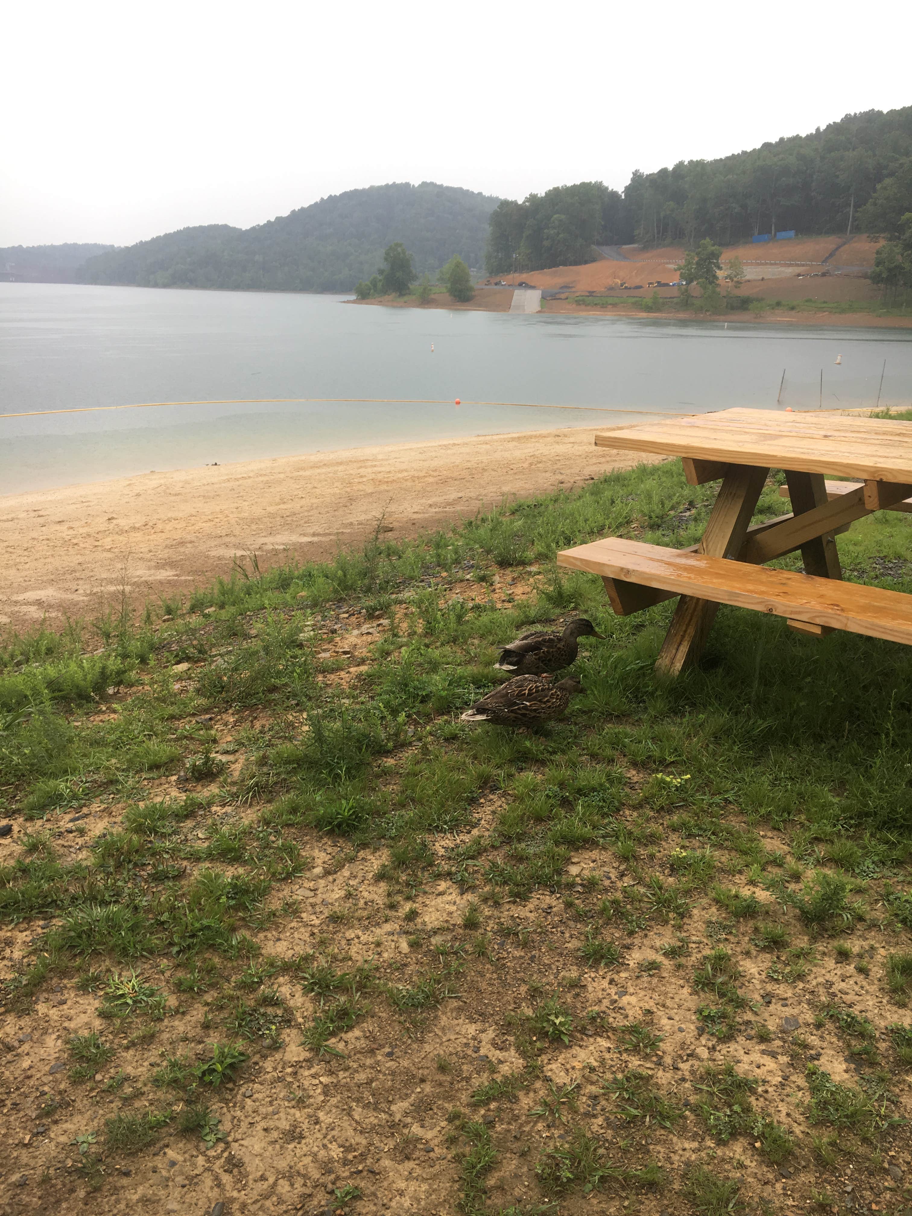 Tygart Lake State Park | The Dyrt